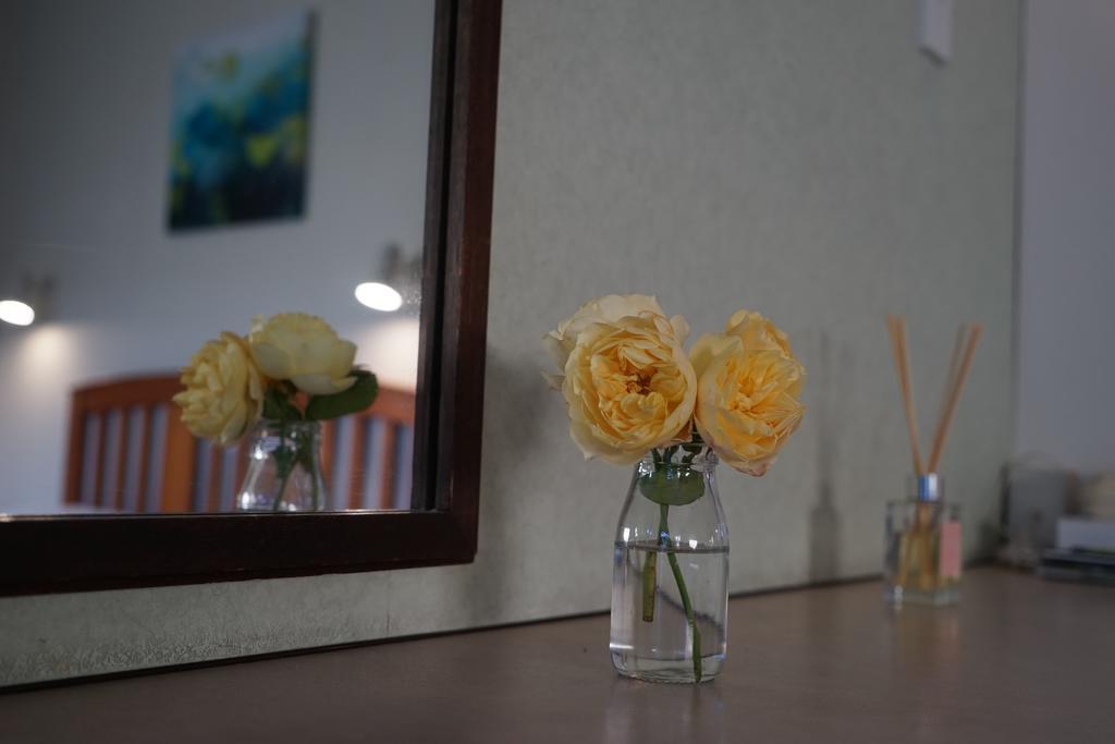 Tui Lodge Motel Крайстчърч Екстериор снимка